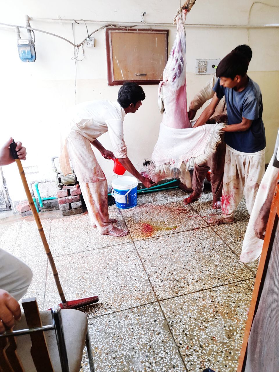 REAR VIEW OF PEOPLE WORKING IN SHOPPING CART