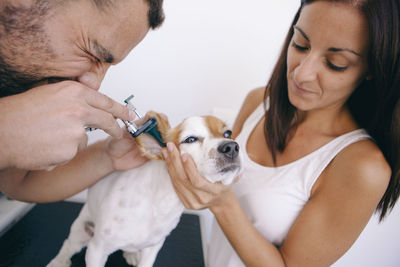 Veterinarian examining puppy ear held by woman in hospital