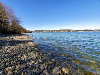 Scenic view of sea against clear blue sky