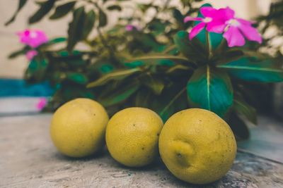 Close-up of fruits on table