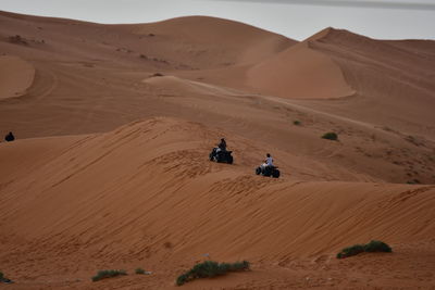Scenic view of desert