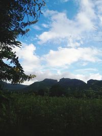 Scenic view of landscape against sky