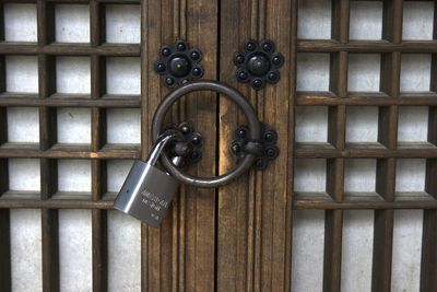 Close-up of tree stump