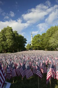 Boston common with american flags 