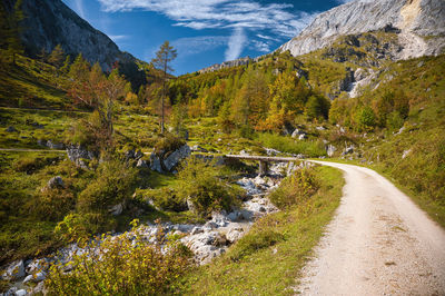 Scenic view of stream amidst trees and mountains during autumn