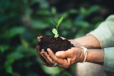 Close-up of man holding plant against blurred background