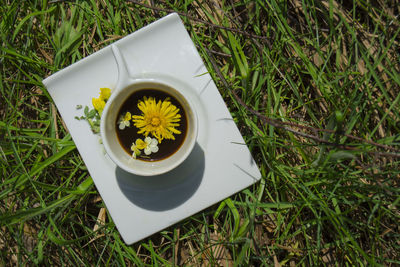 High angle view of white cop of coffee on field