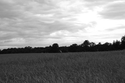 Scenic view of field against cloudy sky