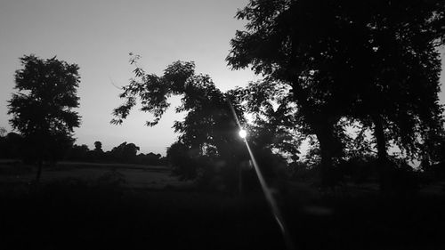 Silhouette of trees on field at sunset