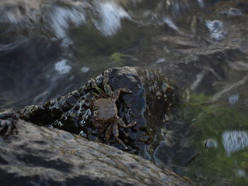 Close-up of water flowing through rocks