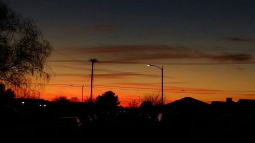 Silhouette of trees at sunset