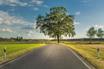 Road by trees on field against sky