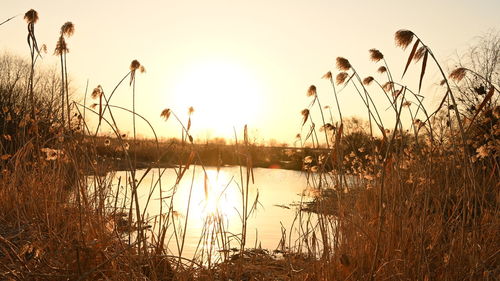 Scenic view of lake against sky during sunset