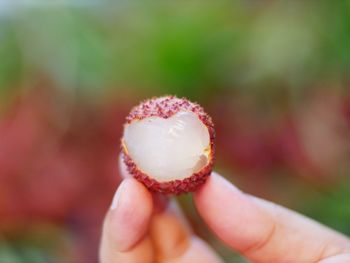 Close-up of hand holding strawberry