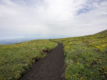 Dirt road amidst green landscape against sky.mt. etna, sicily, italy