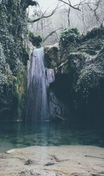 Scenic view of waterfall in forest