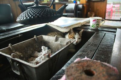 Close-up of preparing food