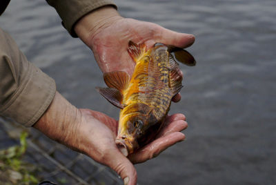 Close-up of man holding fish against sea