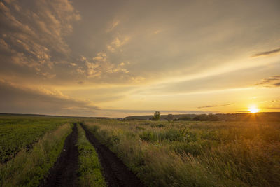 Scenic view of field against sky during sunset