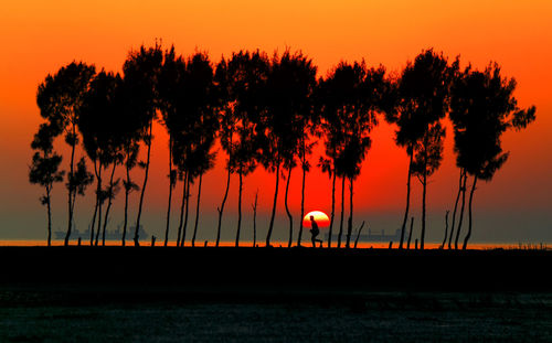 Silhouette trees by sea against orange sky