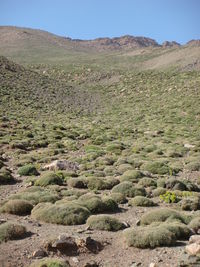 Scenic view of desert against clear sky