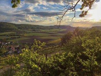 Scenic view of agricultural landscape against sky