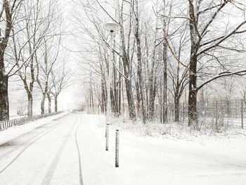 Snow covered road amidst bare trees during winter