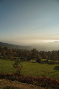 Scenic view of field against sky