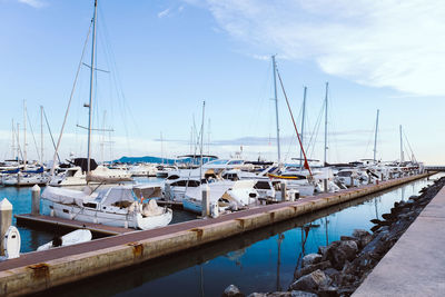 Sailboats moored in harbor