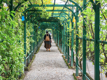 Rear view of woman walking on footpath amidst plants