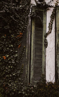 Close-up of abandoned built structure