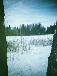 winter