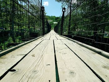 Footbridge leading towards trees in forest