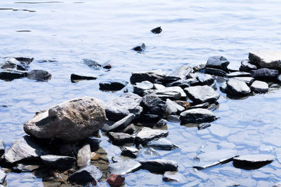 Rocks in sea