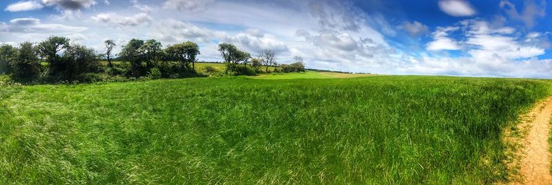 Scenic view of field against sky