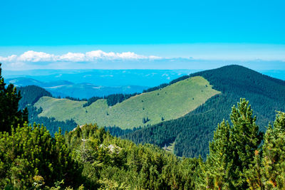 View over the wild retezat national park, romania