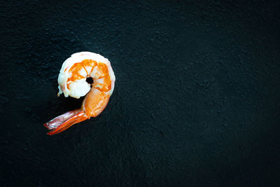 High angle view of fish in plate