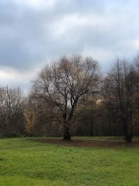 Bare trees on field against sky