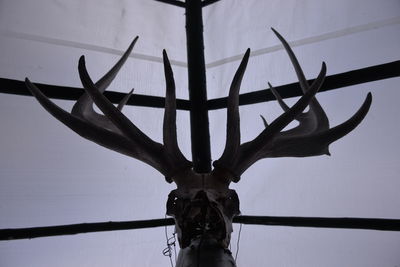 Low angle view of hanging against sky