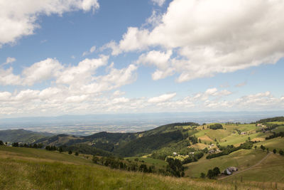 Scenic view of agricultural field against sky