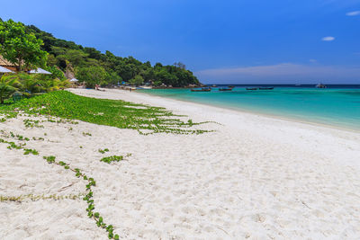 Scenic view of beach against blue sky