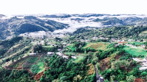 High angle view of trees on landscape against sky