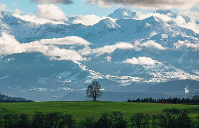 Scenic view of field against sky