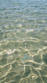 Full frame shot of rippled water