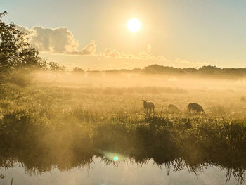 Scenic view of sunset over lake