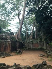 Ruins of old ruin