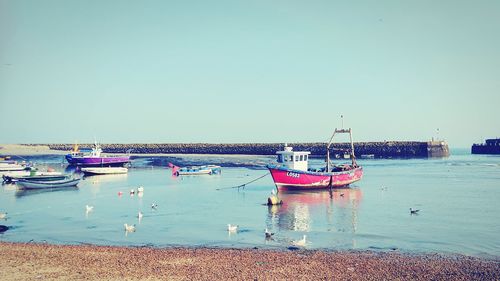 Boats moored at harbor against clear sky