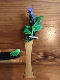 High angle view of plant on table