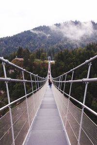 Footbridge in forest