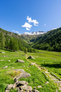 Scenic view of landscape against sky